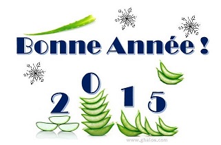 Meilleurs voeux 2015 avec l aloe vera